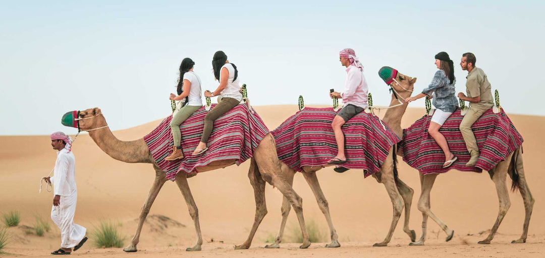 Desert Safari, Camel Ride and Sandboarding in Dubai