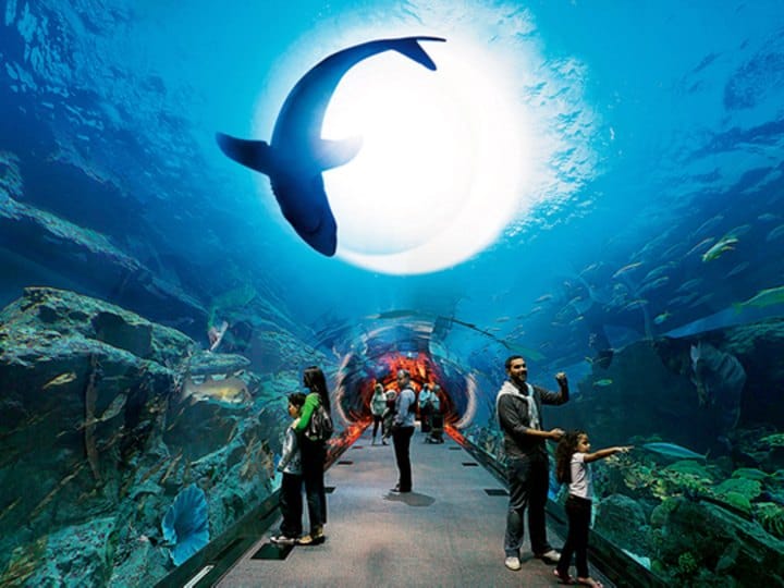 Dubai Aquarium & Underwater Zoo