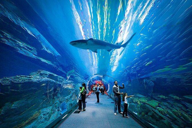 Dubai Aquarium & Underwater Zoo