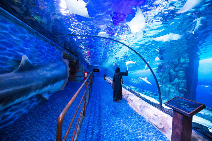 Dubai Aquarium & Underwater Zoo